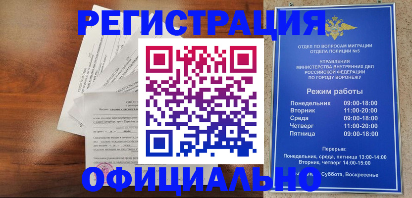 прописка поиск в Светлогорске